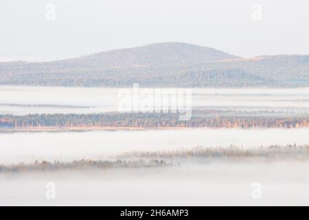 Belle campane nella nebbia durante una mattinata colorata nel nord della Finlandia vicino Kuusamo in autunno. Foto Stock