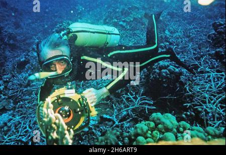 JACQUES COUSTEAU (1910-1997) conservatore marino francese nel 1984. Foto: Televisione Turner Foto Stock