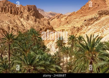 Vista dell'oasi di montagna di Shebika, nel mezzo del deserto del Sahara, Tunisia Foto Stock