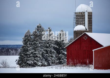 Vecchio fienile rosso e silos vicino a un Wisconsin, foresta coperta di neve, orizzontale Foto Stock