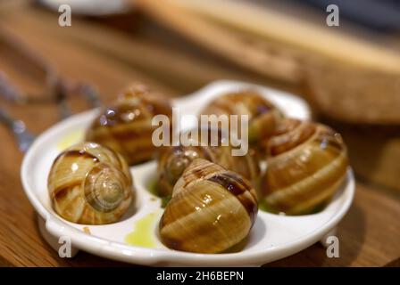Helix Aspersa Muller piatto di lumaca in un ristorante. Lumache commestibili con burro e condimenti. Foto Stock