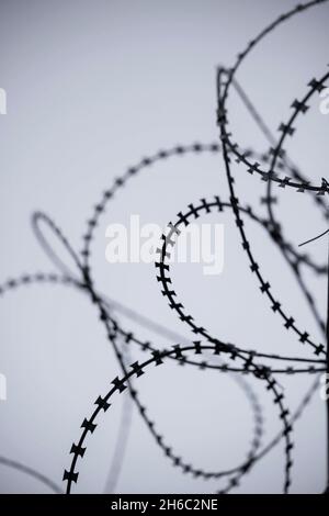 filo di rasoio e barbe affilate con sfondo bianco verticale con area per il testo Foto Stock