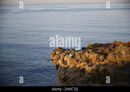 Splendida vista sulle rocce di Cascais, Portogallo Foto Stock