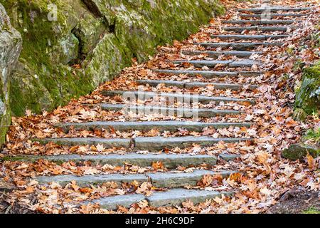 Scala in pietra in autunno sul sentiero Montagne-Mare, vicino ad Asheville, Carolina del Nord, USA Foto Stock