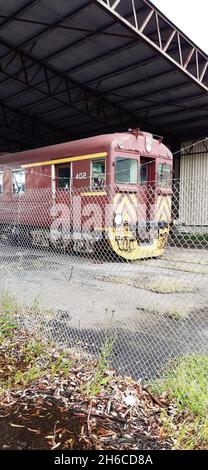 Korumburra Victoria Australia, treno di galline rosse, ferrovia semovente, ferrovia sud australiana Redhen, ferrovia Gippsland Foto Stock