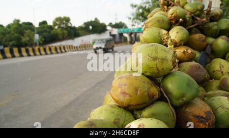 Immagini di alta qualità di noci di cocco grezze e mature Foto Stock