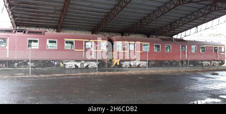 Korumburra Victoria Australia, treno di galline rosse, ferrovia semovente, ferrovia sud australiana Redhen, ferrovia Gippsland Foto Stock