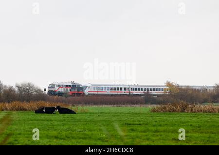 Friedrichstadt, Germania. 14 novembre 2021. Un treno Inter-City percorre la linea Marschbahn in direzione Westerland. Il 1° novembre 2021, l'espansione della capacità della Marschbahn, finanziata dallo Stato di Schleswig-Holstein e Deutsche Bahn, è giunta al termine. L'obiettivo era quello di fornire più seggi. Credit: Frank Molter/dpa/Alamy Live News Foto Stock