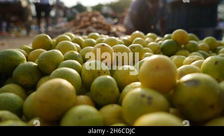 Immagine ad alta risoluzione: Limoni freschi in un vivace mercato vegetale Foto Stock