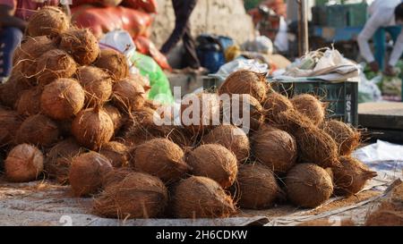 Immagini di alta qualità di noci di cocco grezze e mature Foto Stock