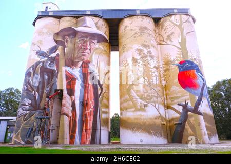 Arte su un silo di grano a Wirrabara in Australia Meridionale Foto Stock