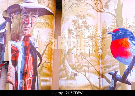 Arte su un silo di grano a Wirrabara in Australia Meridionale Foto Stock