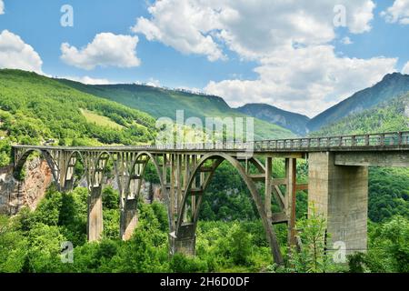 Ponte Durdevica sul fiordo verde in Montenegro. Paesaggi e sfondi naturali panoramici Foto Stock