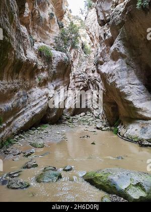 Foto verticale della splendida gola di Avakas, paesaggio naturale, Cipro. Foto Stock