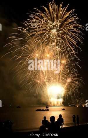 Festa dei fuochi d'artificio dalla riva del mare. Festa dei fuochi d'artificio colorati e sfondo cielo notturno. Foto Stock