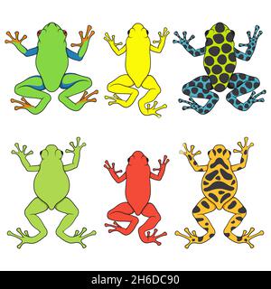 Set di illustrazioni a colori con rane di alberi tropicali. Oggetti vettoriali isolati su sfondo bianco. Illustrazione Vettoriale
