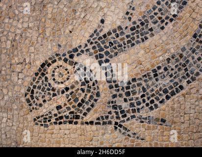 Mosaic, Great Witcombe Roman Villa, Gloucestershire, 2018. Dettaglio di un pavimento a mosaico sul sito della villa, raffigurante la testa di un pesce. Foto Stock