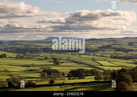 Una vista di Pendle Hill nel Lancashire da sopra Austwick nel Parco Nazionale di Yorkshire Dales, Regno Unito Foto Stock