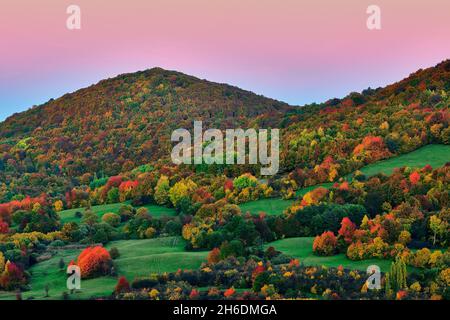 Paesaggio autunnale al crepuscolo con foglie di alberi colorati in colori pastello. Con montagna e un bel cielo rosa chiaro. Area protetta Dubrava Slovacchia. Foto Stock