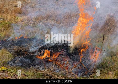 Fuoco che brucia di erba secca fumo da bruciare foglie bruciare è cattivo Foto Stock