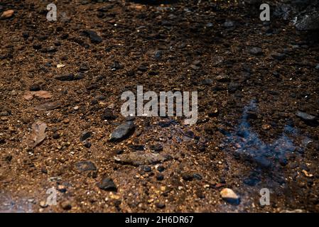 I ciottoli in acqua poco profonda Foto Stock