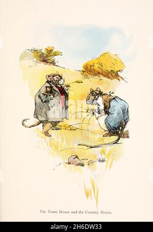 The Town mouse and the Country mouse dal libro " le favole di Aesop " tradotto dal greco e adattato da George Fyler Townsend, illustrato da J. M. Condé, pubblicato a Londra da Grant Richards nel 1905 Foto Stock