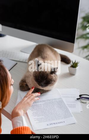 vista ritagliata della donna sfocata che tocca il gatto sdraiato sulla scrivania vicino ai documenti Foto Stock