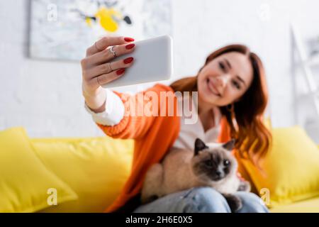 donna offuscata sorridendo mentre si siede sul divano con il gatto e prendendo selfie sul cellulare Foto Stock