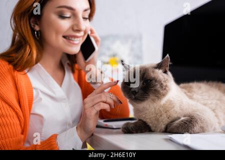 donna sorridente che parla sullo smartphone mentre tocca il gatto sdraiato sulla scrivania Foto Stock