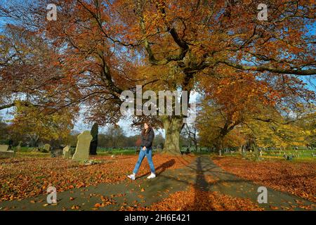 Leicester, Leicestershire, Regno Unito 15 novembre 2021. Notizie del Regno Unito. Una mattinata autunnale al Welford Road Cemetery di Leicester. Alex Hannam Foto Stock