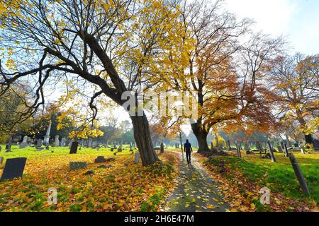 Leicester, Leicestershire, Regno Unito 15 novembre 2021. Notizie del Regno Unito. Una mattinata autunnale al Welford Road Cemetery di Leicester. Alex Hannam Foto Stock