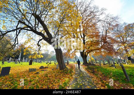 Leicester, Leicestershire, Regno Unito 15 novembre 2021. Notizie del Regno Unito. Una mattinata autunnale al Welford Road Cemetery di Leicester. Alex Hannam Foto Stock