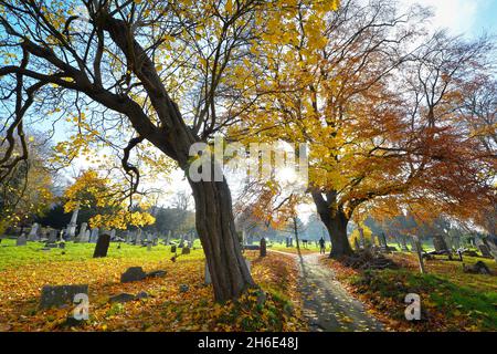 Leicester, Leicestershire, Regno Unito 15 novembre 2021. Notizie del Regno Unito. Una mattinata autunnale al Welford Road Cemetery di Leicester. Alex Hannam Foto Stock