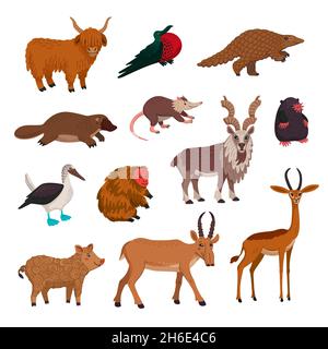 Set di vettori animsl selvaggi, animali rari endandered. Illustrazione del vettore cartoon di stile piatto. Illustrazione Vettoriale