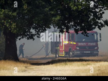 I vigili del fuoco stanno attualmente cercando di controllare un incendio nella foresta provocato dall'ondata di caldo nella foresta di Waltham, Londra orientale, questo pomeriggio. Foto Stock