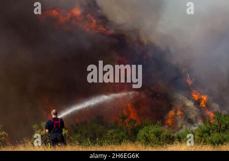 I vigili del fuoco stanno attualmente cercando di controllare un incendio nella foresta provocato dall'ondata di caldo nella foresta di Waltham, Londra orientale, questo pomeriggio. Foto Stock