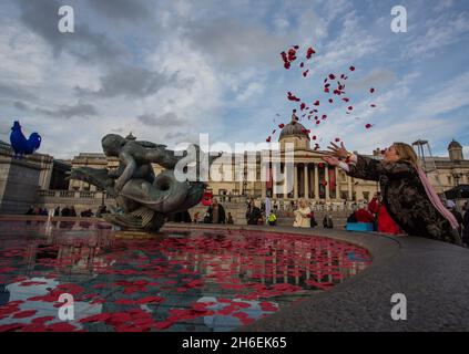 I membri del pubblico gettano papaveri nelle fontane in Trafalgar Square Foto Stock