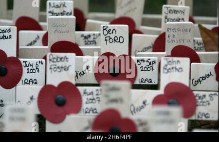 Centinaia di croci con papaveri deposti nel campo della memoria a Westminster Abbey, Londra, per commemorare coloro che sono morti nelle guerre, compresi i giovani uomini e donne che sono morti in Iraq. Foto Stock