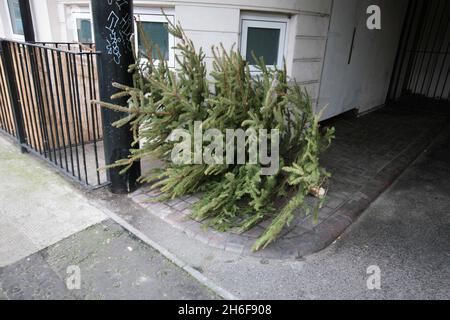 Con la pausa natalizia sopra gli alberi di Natale sono ora abbandonati in massa, riversati nelle strade o all'esterno di case nel centro di Londra. Foto Stock