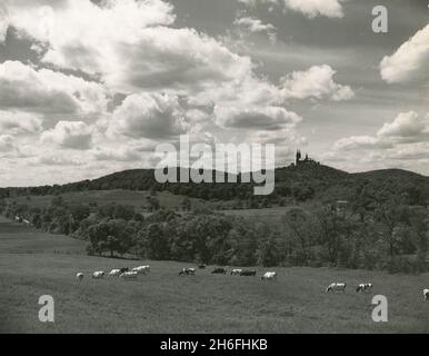 Vista delle mucche al pascolo in Wisconsin, sullo sfondo il Monastero di Santa collina dei Padri Carmelitani, USA 1956 Foto Stock