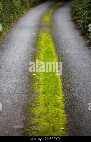 Strada rurale a binario singolo con erba che cresce lungo il centro vicino Cadamstown, County Offaly, Irlanda Foto Stock