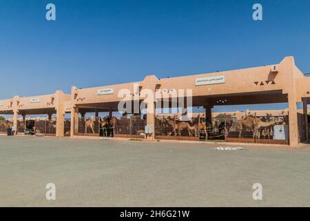 Gabbie di cammello al mercato degli animali di al Ain, Emirati Arabi Uniti Foto Stock