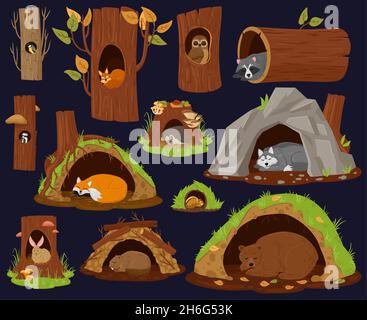 Cartoon Woodland animali che dormono all'interno di burrow, cave, nido. Animali della foresta che riposano o ibernano, carino racoon, volpe e illustrazione vettoriale del castoro Illustrazione Vettoriale