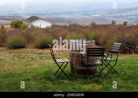 botte di vino e sedia di legno sfondo Foto Stock