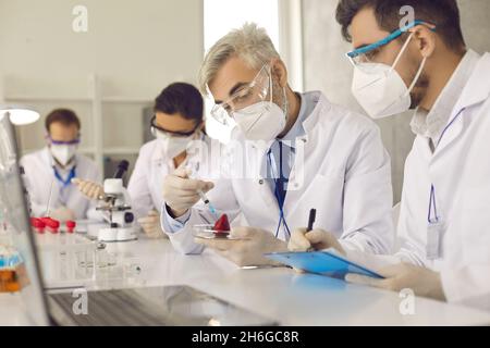 Esperto di controllo della qualità degli alimenti che ispeziona la fragola sui nitrati in laboratorio Foto Stock