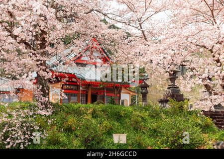 Tempio di Kotokuji, Shizuoka, Giappone nella stagione primaverile. Foto Stock