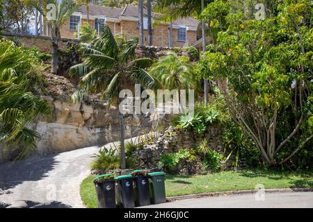 Green Waste vegetation Wheelie Bins a Sydney in attesa di raccolta del consiglio per riciclare la vegetazione, Sydney, Australia Foto Stock