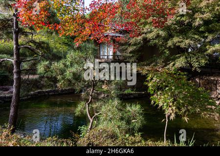 Il Koyama Garden è adiacente a Toshimaen e dispone di un giardino giapponese centrato intorno ad un laghetto. Il disegno del giardino trae vantaggio dalla differenza di altezza di Foto Stock