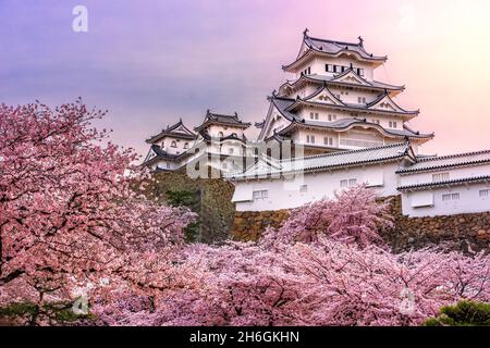 Himeji, Giappone presso il castello di Himeji durante la primavera la fioritura dei ciliegi stagione. Foto Stock
