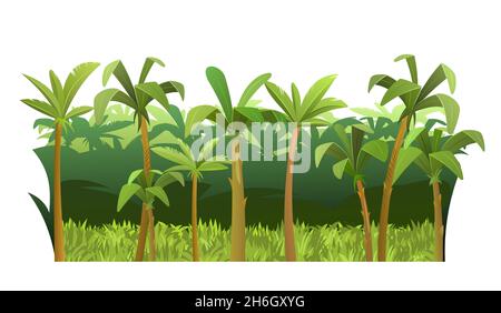 Sfondo giungla. Piante foresta pluviale. Bellissimo paesaggio verde con alberi esotici e palme. Stile carino dei cartoni animati. Isolato su sfondo bianco. Vettore. Illustrazione Vettoriale